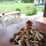 Nad Stawem W Harszu Chalet *