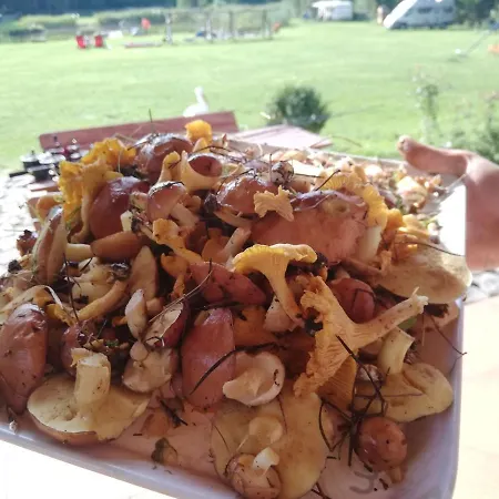 Nad Stawem W Harszu Harsz