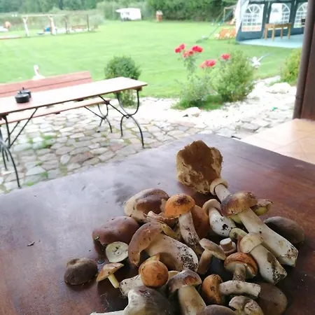 I Nad Stawem Chalet *