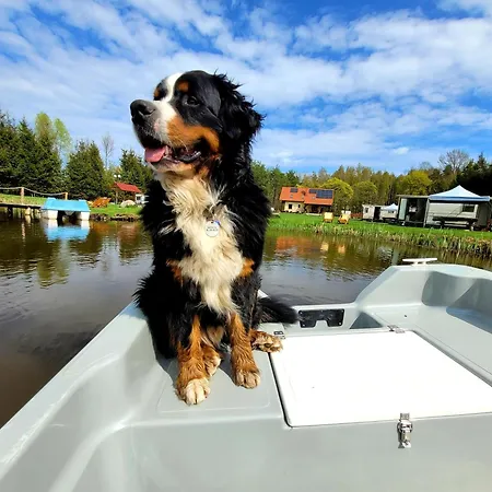 Nad Stawem W Harszu *