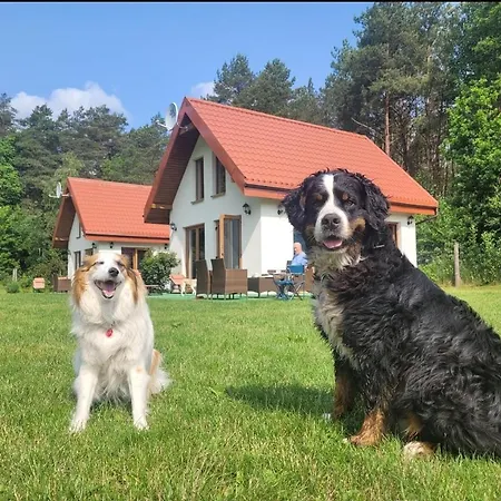 Nad Stawem W Harszu