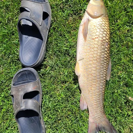 Nad Stawem W Harszu Horská chata *