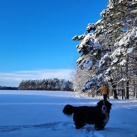 Horská chata Nad Stawem W Harszu Harsz