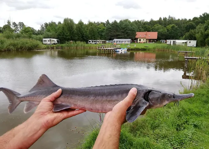 Nad Stawem W Harszu Horská chata
