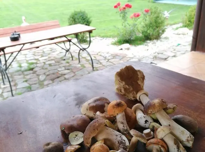 Nad Stawem W Harszu Horská chata *