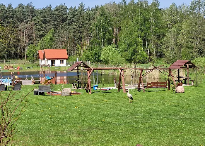 Nad Stawem W Harszu Harsz