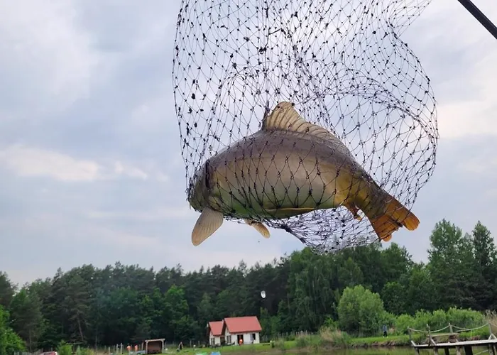 Horská chata Nad Stawem W Harszu Harsz