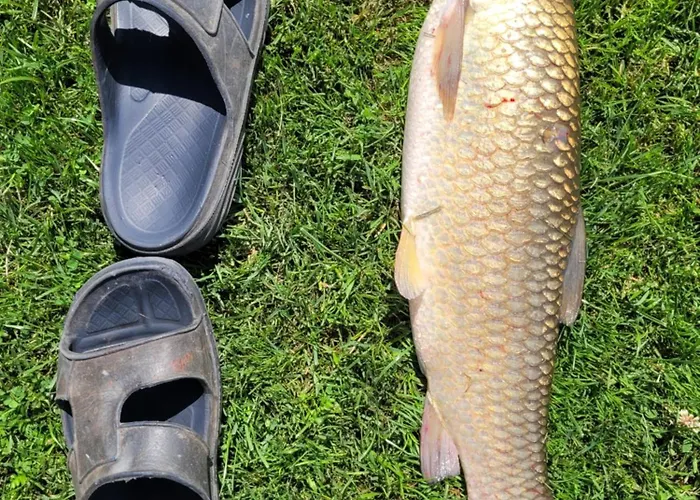 Nad Stawem W Harszu Horská chata *